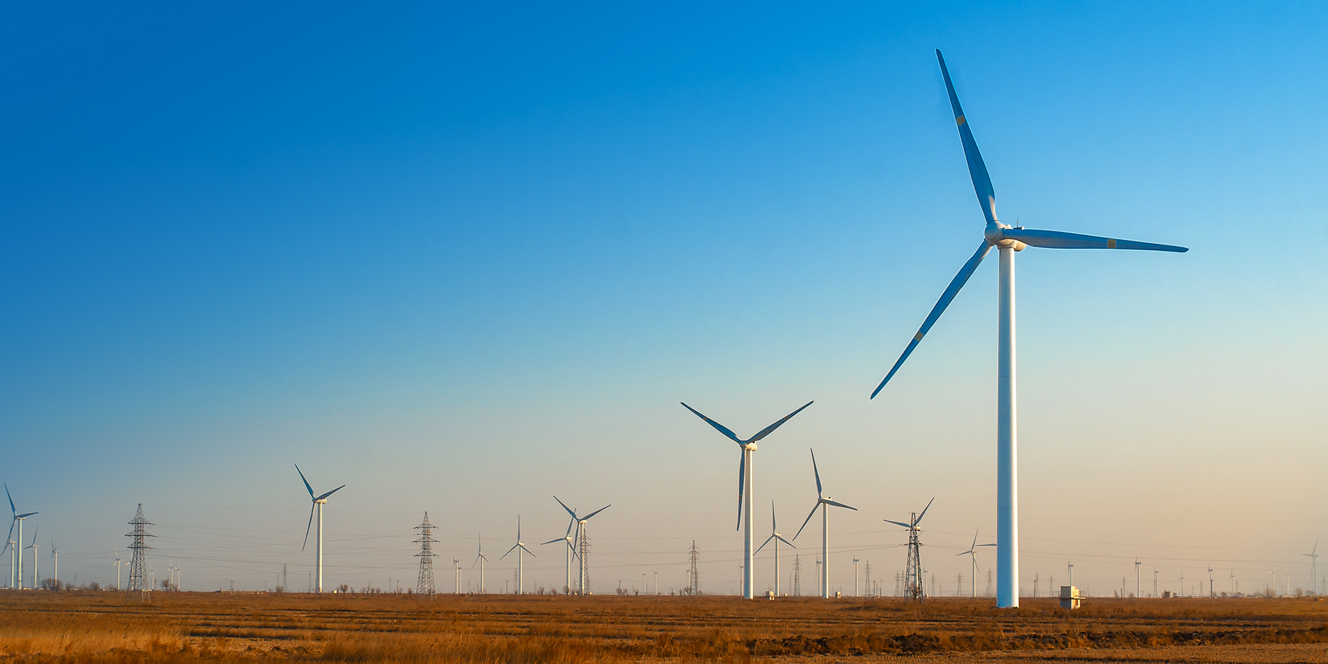 来利国际app(中国)官方正版_最给力的老牌