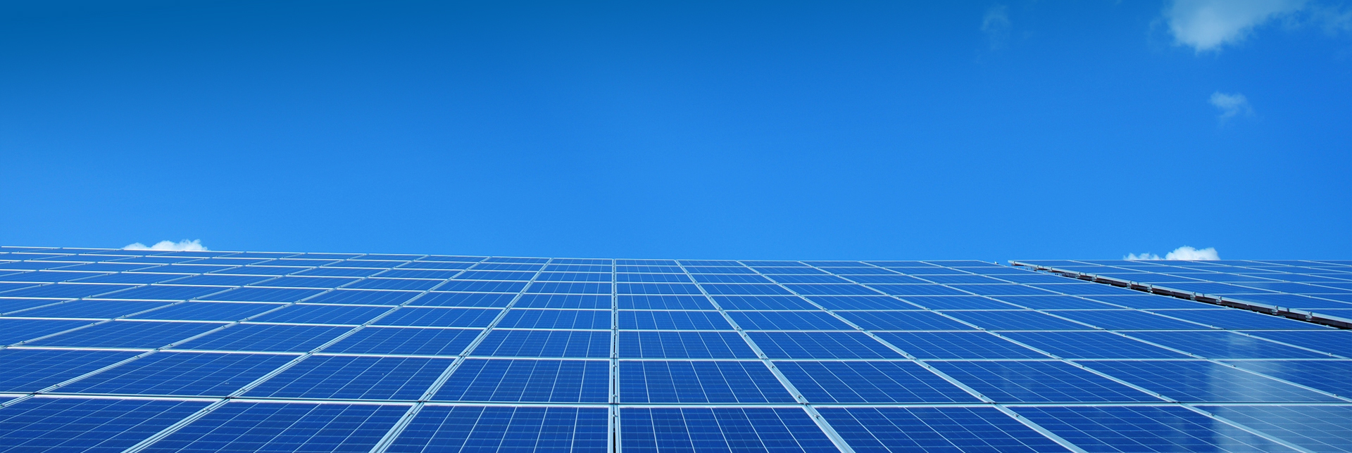 来利国际app(中国)官方正版_最给力的老牌