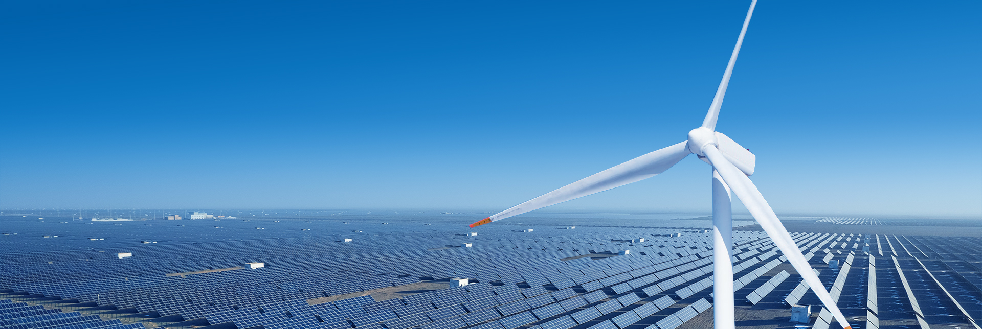 来利国际app(中国)官方正版_最给力的老牌