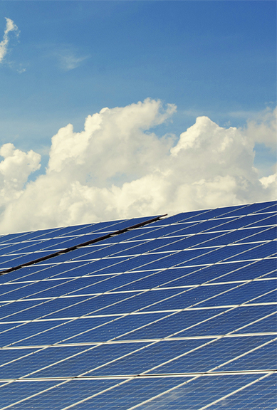 来利国际app(中国)官方正版_最给力的老牌