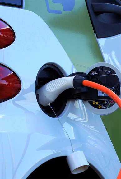 来利国际app(中国)官方正版_最给力的老牌