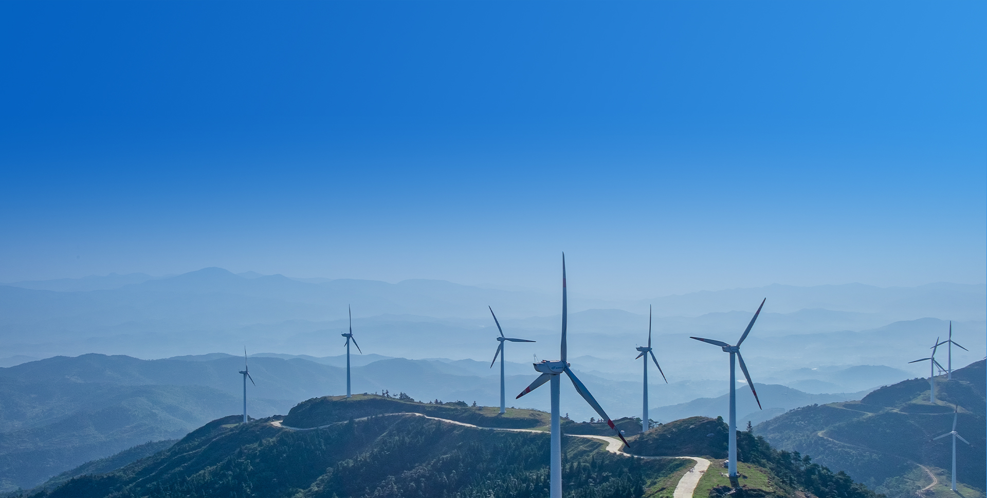 来利国际app(中国)官方正版_最给力的老牌