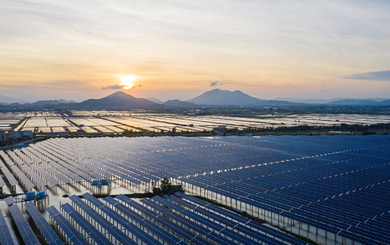 来利国际app(中国)官方正版_最给力的老牌