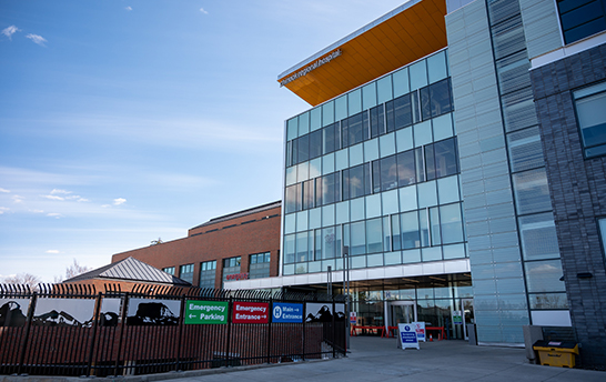 来利国际app(中国)官方正版_最给力的老牌