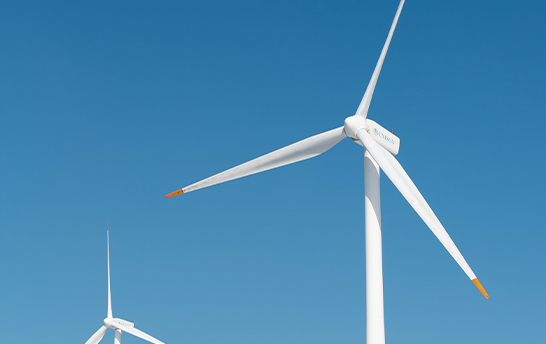 来利国际app(中国)官方正版_最给力的老牌