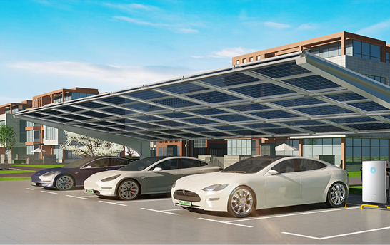 来利国际app(中国)官方正版_最给力的老牌